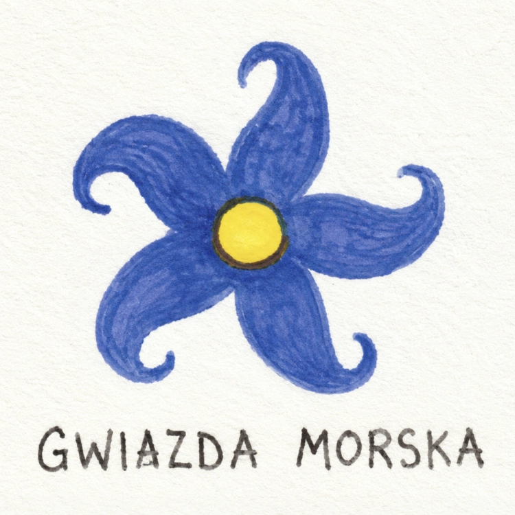 Gwiazda Morska Haft Kolekcja Kaszubska SZTORM